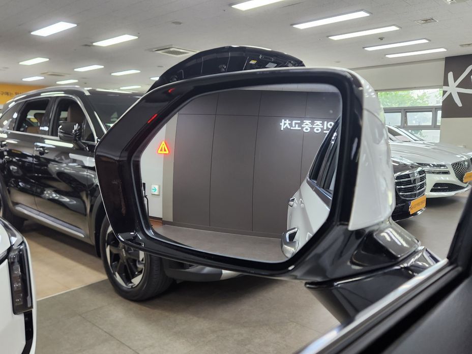 Hyundai Palisade Diesel 2.2 2WD, 2024