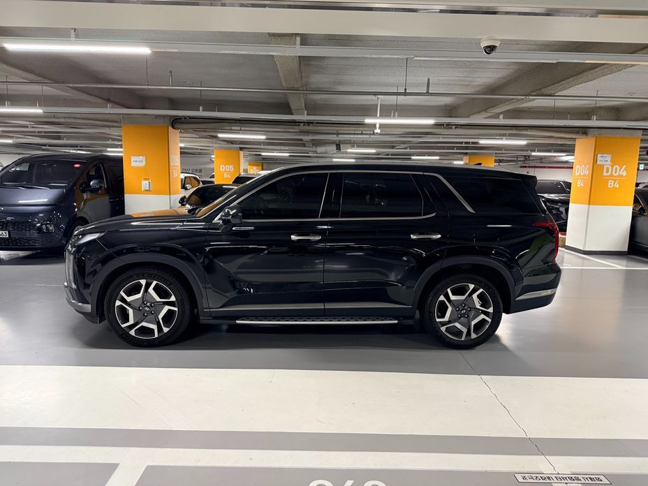 Hyundai Palisade Diesel 2.2 2WD, 2024