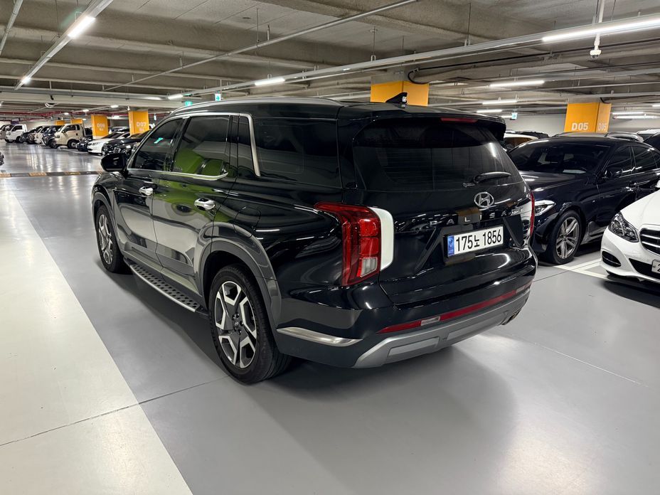 Hyundai Palisade Diesel 2.2 2WD, 2024