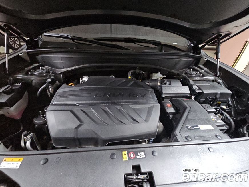 Hyundai Palisade Diesel 2.2 2WD, 2024