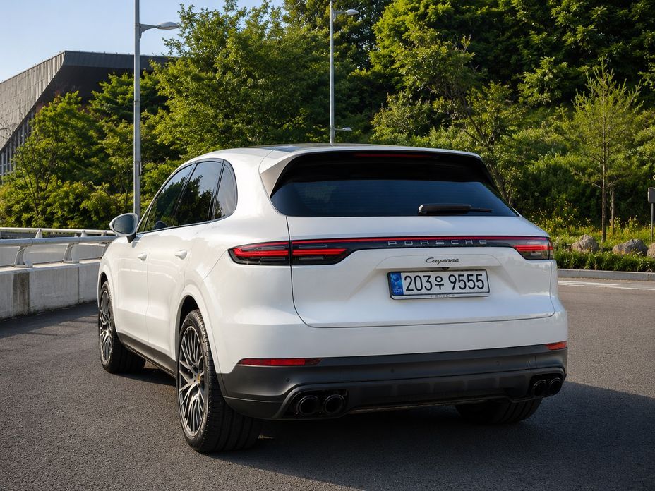 Porsche Cayenne 3.0 PLATINUM EDITION, 2022