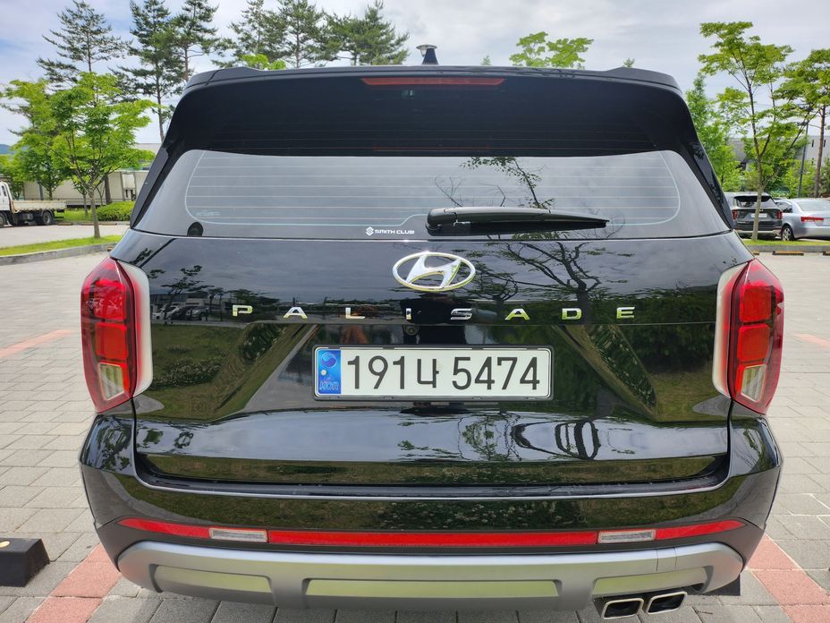 Hyundai Palisade Diesel 2.2 2WD, 2024