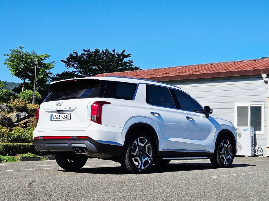 Hyundai Palisade Diesel 2.2 2WD, 2024