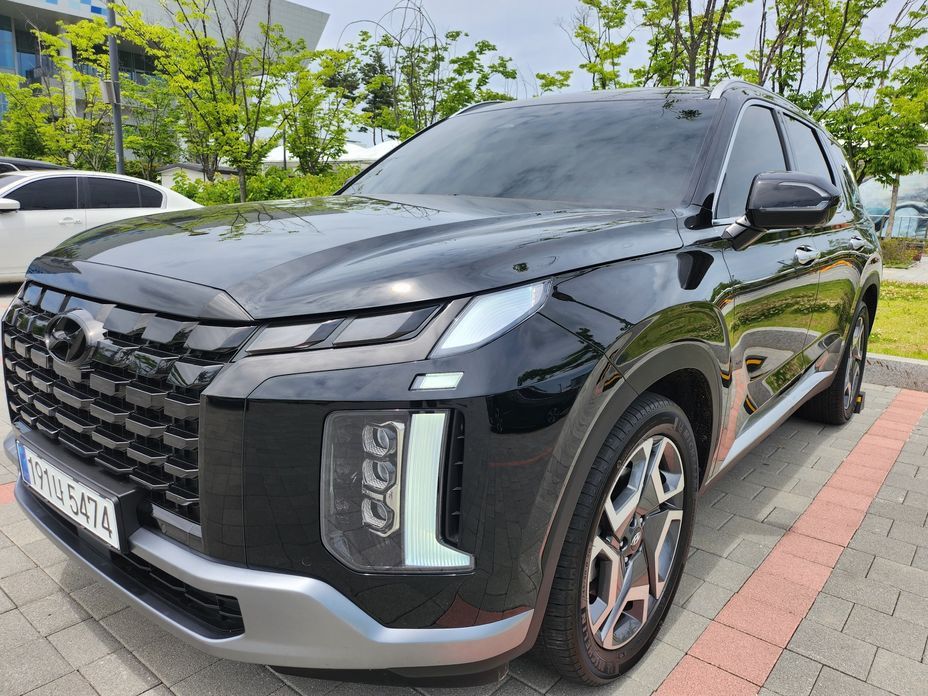 Hyundai Palisade Diesel 2.2 2WD, 2024
