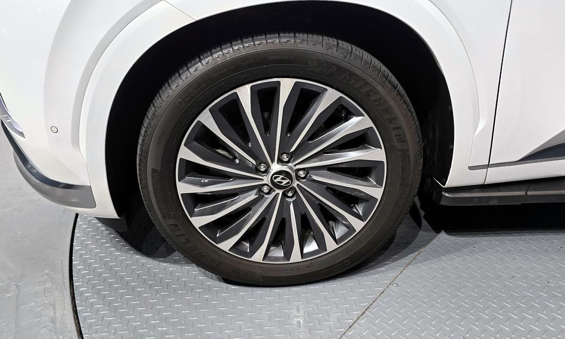 Hyundai Palisade Diesel 2.2 2WD, 2024