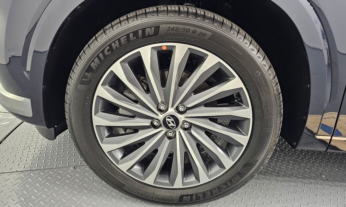 Hyundai Palisade Diesel 2.2 2WD, 2024