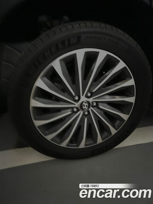 Hyundai Palisade Diesel 2.2 2WD, 2024