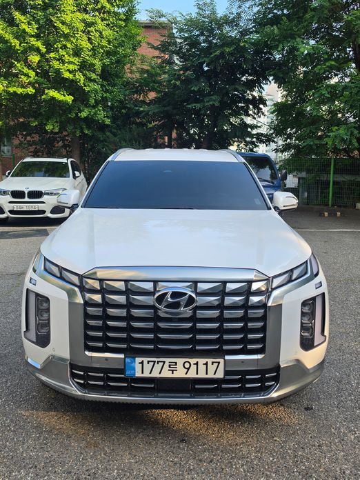 Hyundai Palisade Diesel 2.2 4WD, 2024