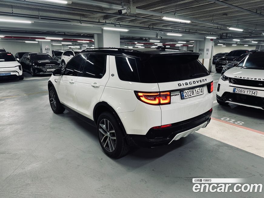 Land Rover Discovery Sport P250 Dynamic SE, 2025