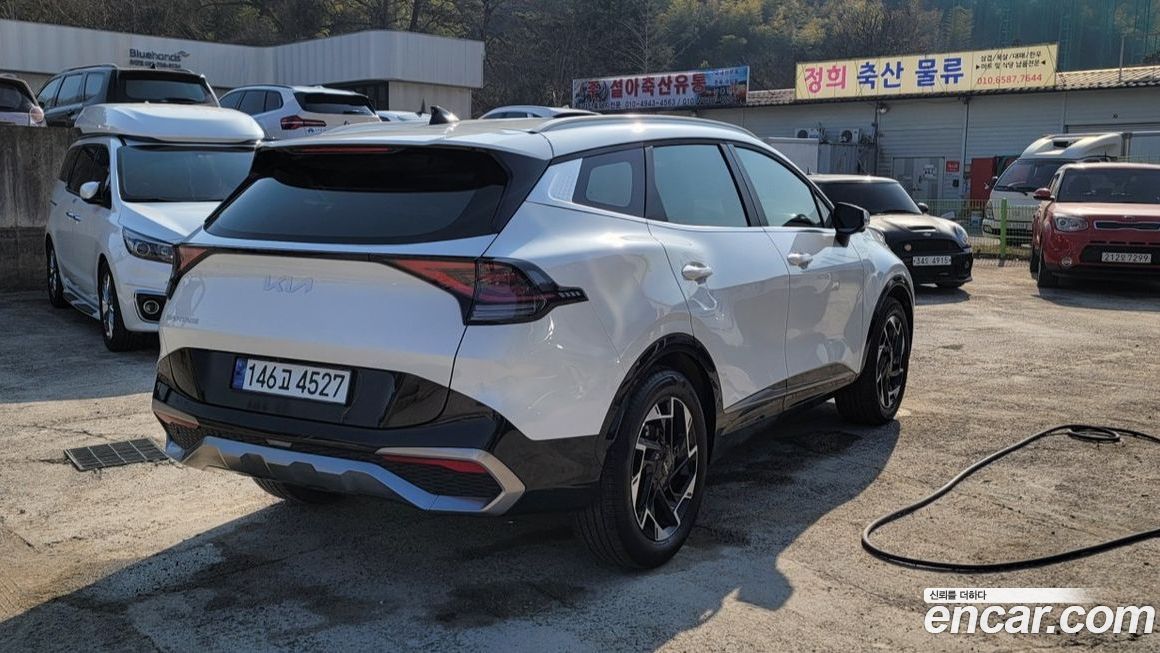 Kia Sportage Gasoline 1.6 Turbo 2WD, 2024