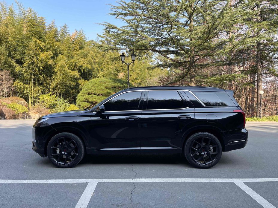 Hyundai Palisade Diesel 2.2 4WD, 2024