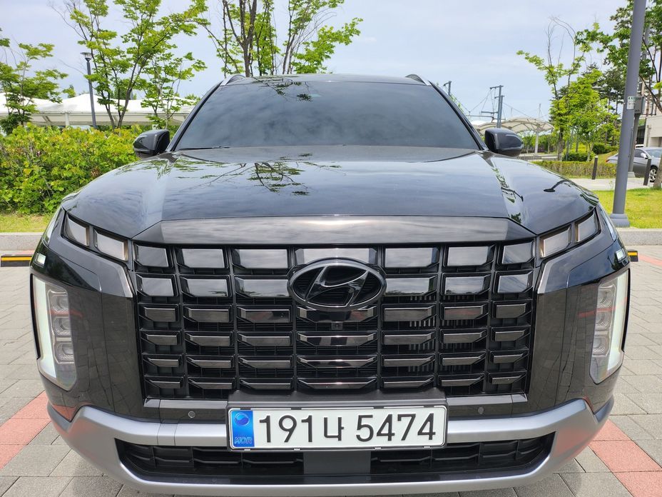 Hyundai Palisade Diesel 2.2 2WD, 2024