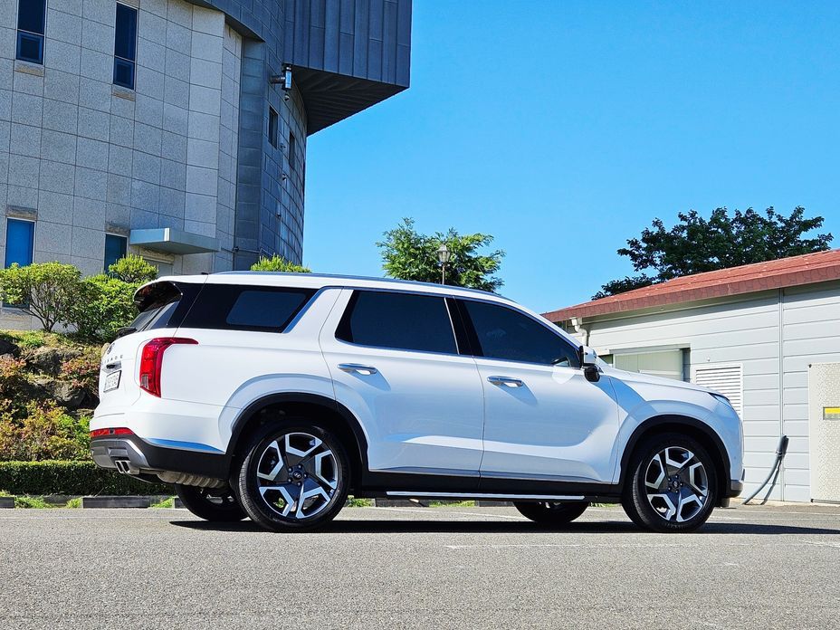 Hyundai Palisade Diesel 2.2 2WD, 2024
