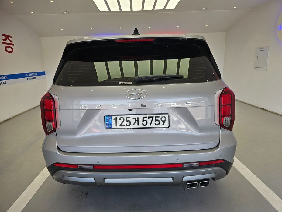 Hyundai Palisade Diesel 2.2 2WD, 2024