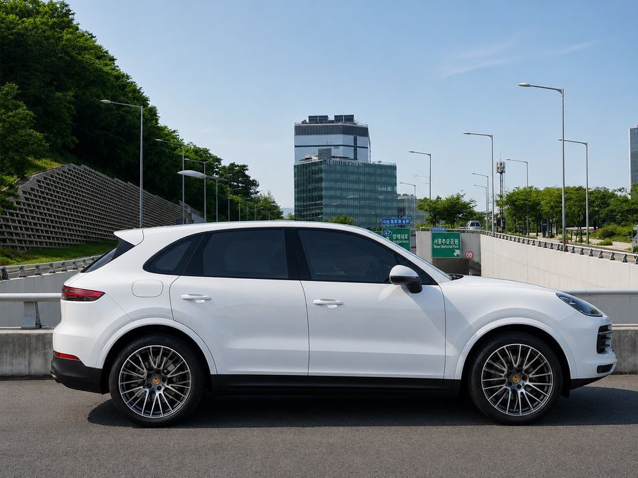 Porsche Cayenne 3.0 PLATINUM EDITION, 2022