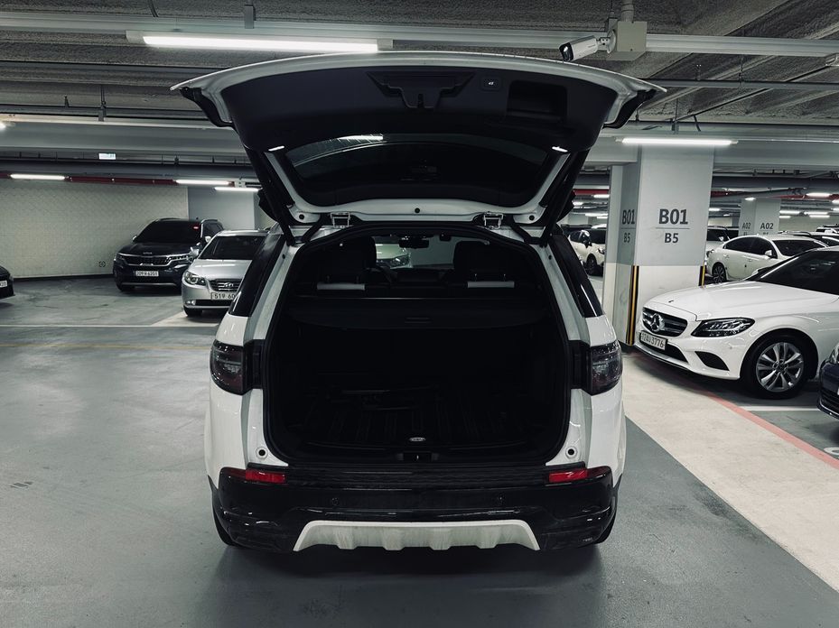 Land Rover Discovery Sport P250 Dynamic SE, 2025