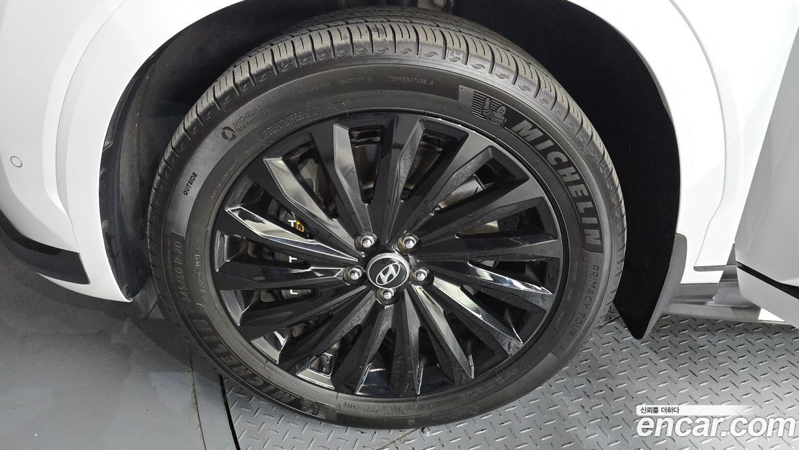 Hyundai Palisade Diesel 2.2 2WD, 2024