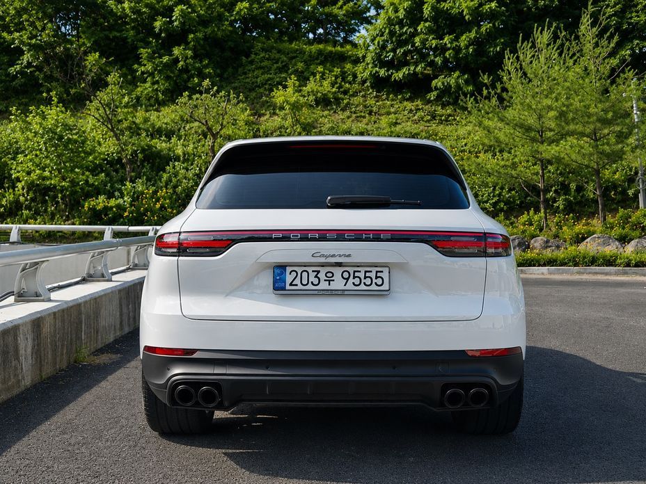 Porsche Cayenne 3.0 PLATINUM EDITION, 2022