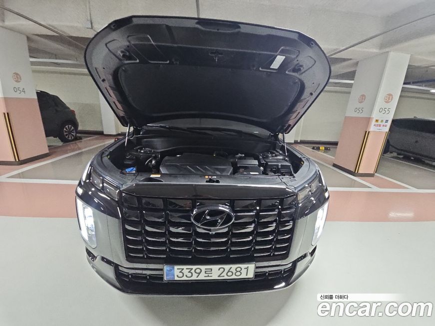 Hyundai Palisade Diesel 2.2 2WD, 2024