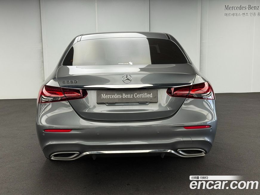 Mercedes-Benz E-Class E250 AMG Line, 2023