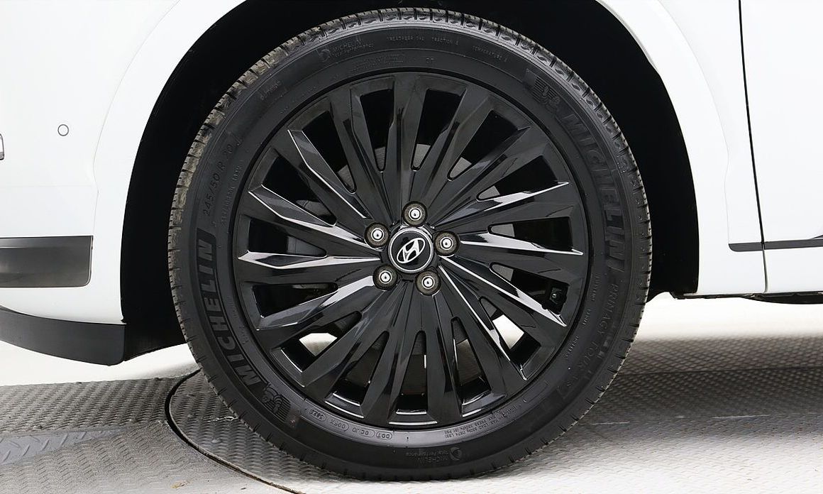 Hyundai Palisade Diesel 2.2 2WD, 2024