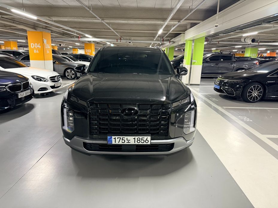 Hyundai Palisade Diesel 2.2 2WD, 2024