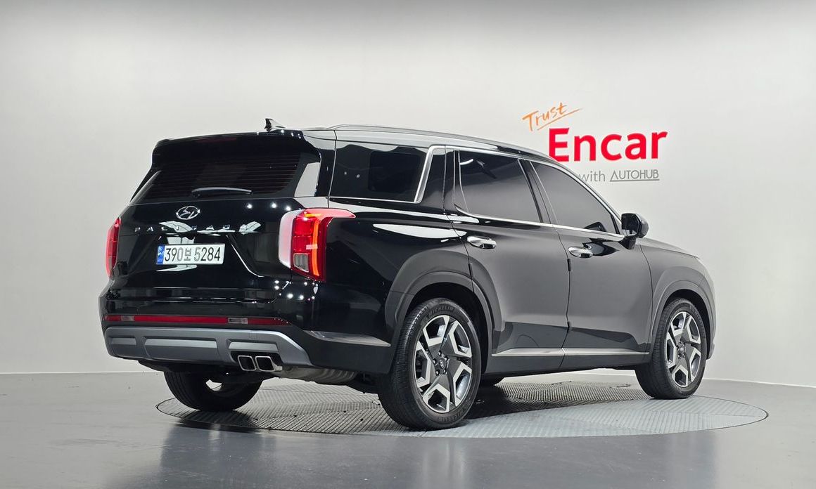 Hyundai Palisade Diesel 2.2 2WD, 2024