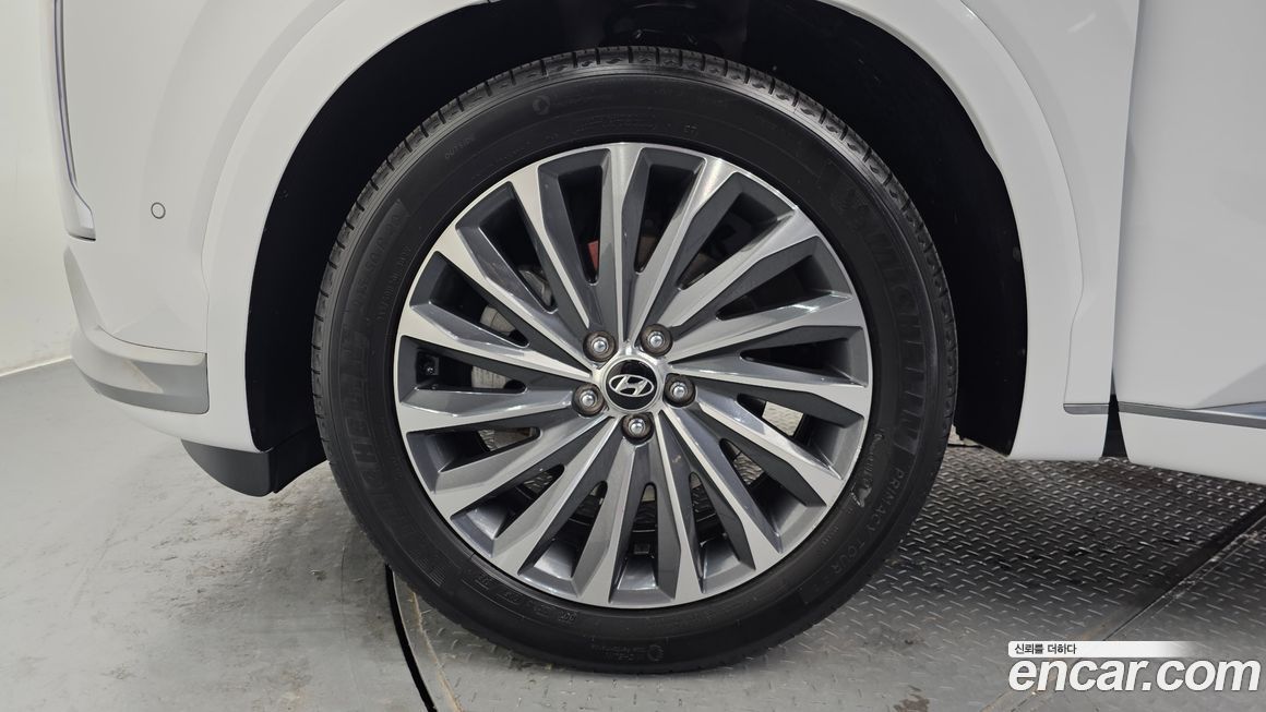 Hyundai Palisade Diesel 2.2 2WD, 2024