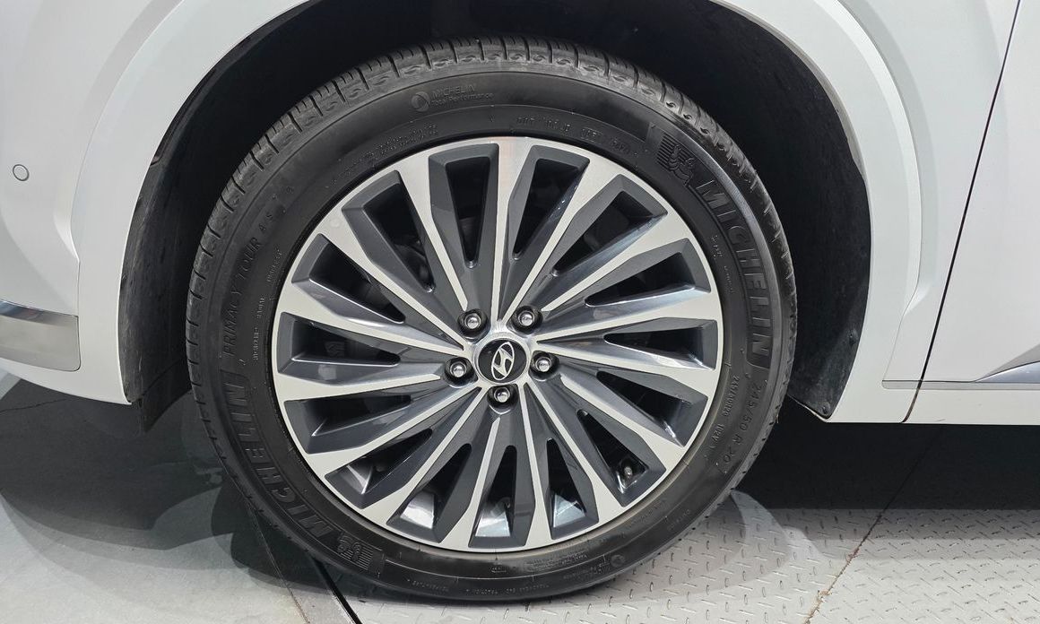 Hyundai Palisade Diesel 2.2 2WD, 2024