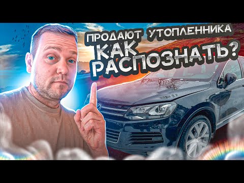 Туарег Утопленник. Как распознать?