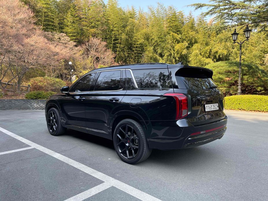 Hyundai Palisade Diesel 2.2 4WD, 2024