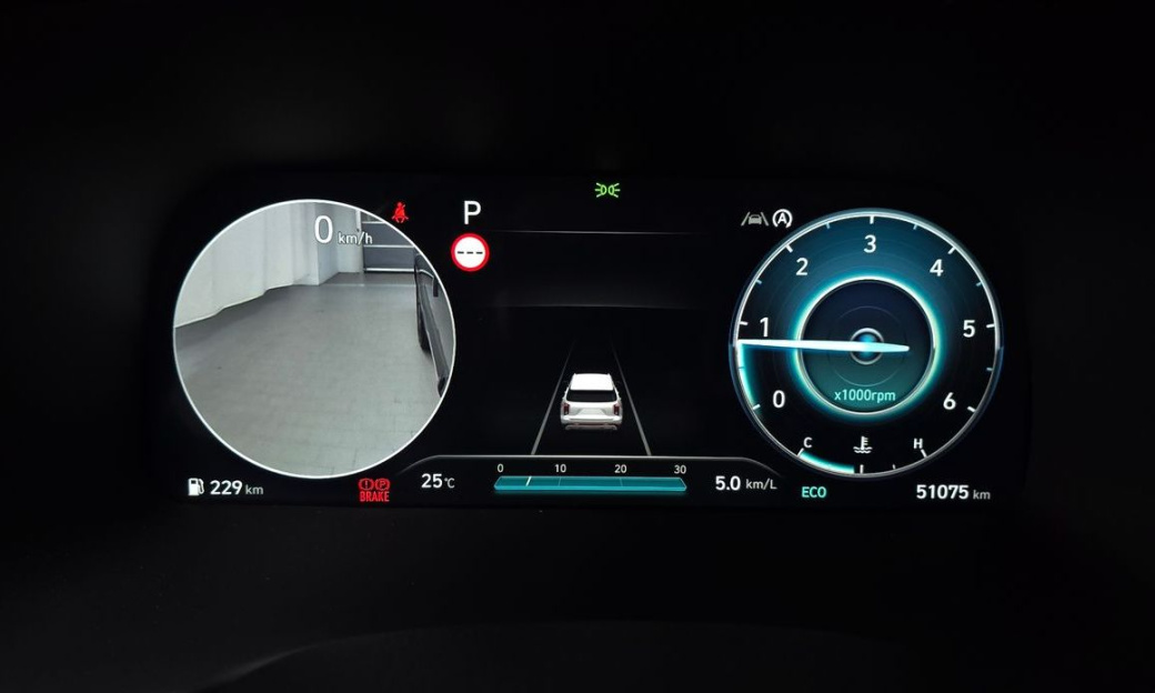 Hyundai Palisade Diesel 2.2 2WD, 2024