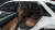 Hyundai Grandeur 2,5 Gasoline 2WD, 2024