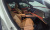 Mercedes-Benz E-Class E220d 4MATIC Exclusive, 2025