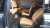 Kia Carnival 7-Seater Outdoor, 2023