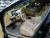 Genesis G80 Gasoline 2.5 Turbo AWD, 2025