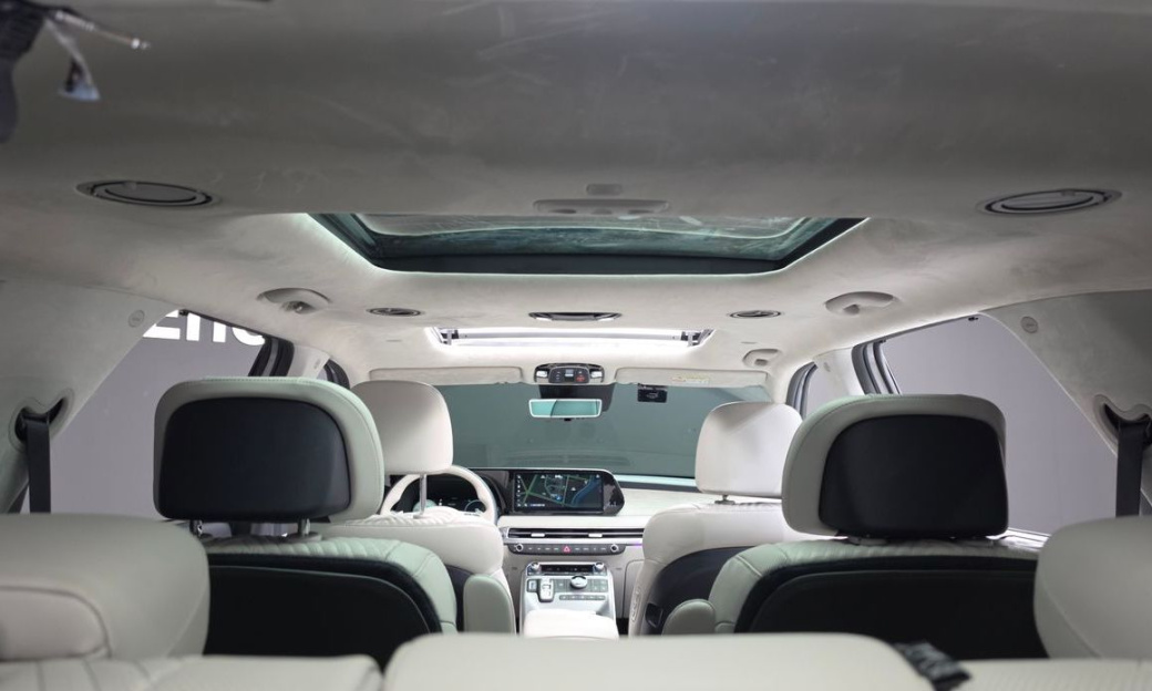 Hyundai Palisade Diesel 2.2 2WD, 2024