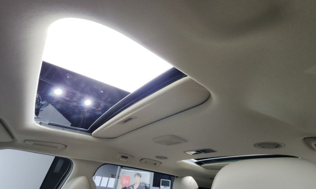Kia Carnival 9-Seater Gravity, 2024
