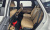 Kia Sorento Gasoline 2.5T 4WD, 2024