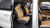 Kia Carnival 9-Seater Signature, 2023