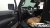 Jeep Gladiator 3.6 Rubicon, 2021