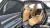 Genesis GV80 2.5T Gasoline AWD, 2023