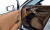 Hyundai Palisade Gasoline 2.5T 4WD 7-Seater, 2025