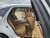 Genesis G80 Gasoline 2.5 Turbo 2WD, 2025