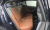 BMW 5-Series 530i xDrive M Sport, 2024