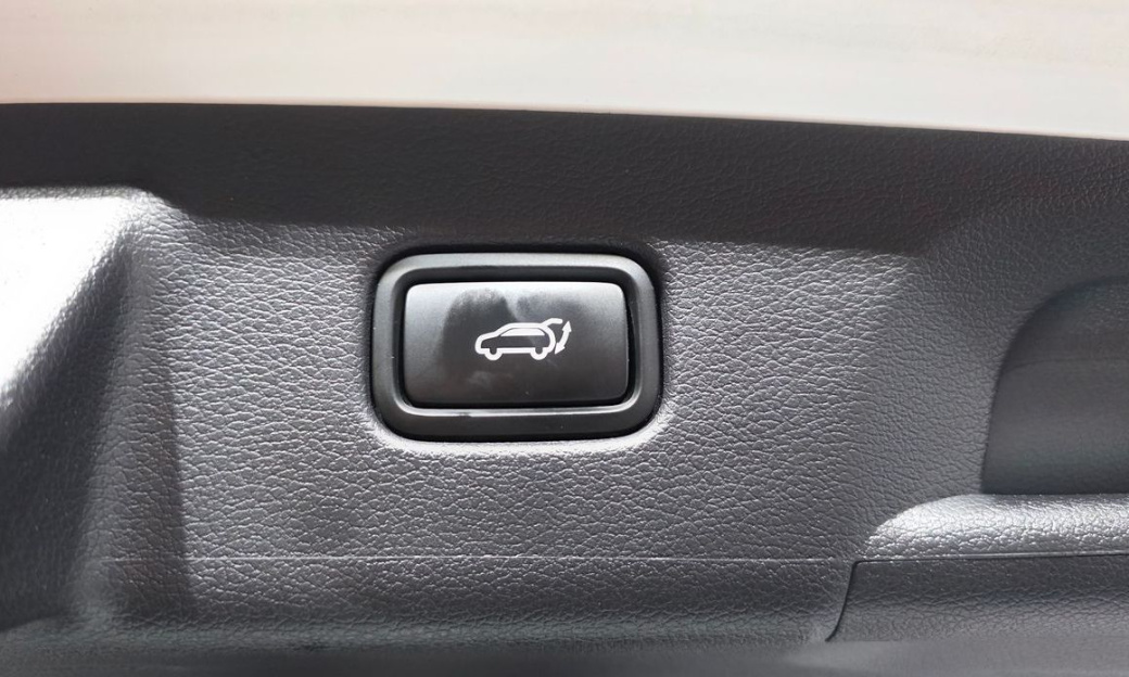 Hyundai Palisade Diesel 2.2 2WD, 2024