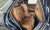 Genesis GV70 2.5T Gasoline AWD, 2024