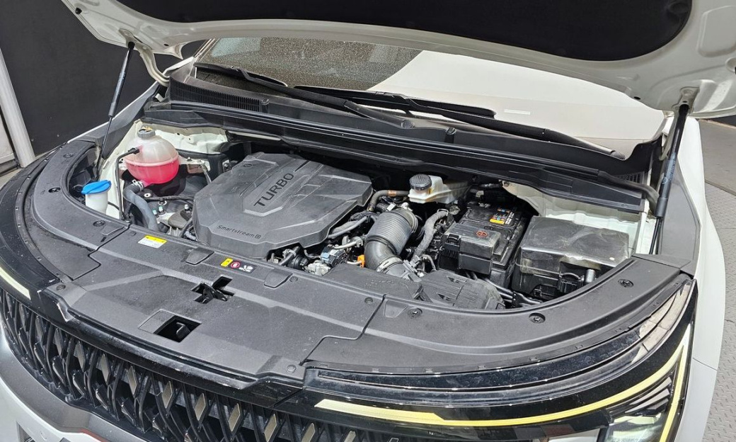 Kia Carnival 9-Seater Noblesse, 2024