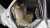 Genesis GV80 2.5T Gasoline 2WD, 2022