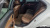 Mercedes-Benz E-Class E250 Exclusive, 2023